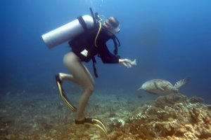 Click For Gallery Galeri Galeri Java Adventure Seekers