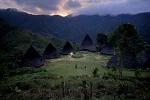 Flores Trip Waerebo,Komodo Island Sailing 4D3N flores trip waerebo trip komodo trip flores trip,trip to flores,komodo island,komodo trip,sailing trip, Java Adventure Seekers