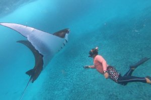 Nusa Penida Snorkeling + East Trip Nusa penida snorkeling trip snorkeling nusa penida Java Adventure Seekers