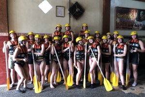 Wild Dolphin Lovina,Ubud Trip From Banyuwangi 3D3N dolphin trip lovina,ubud trip dolphin trip lovina,ubud trip,monkey forest ubud Java Adventure Seekers