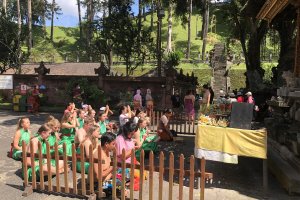 Wild Dolphin Lovina,Ubud Trip From Banyuwangi 3D3N dolphin trip lovina,ubud trip dolphin trip lovina,ubud trip,monkey forest ubud Java Adventure Seekers